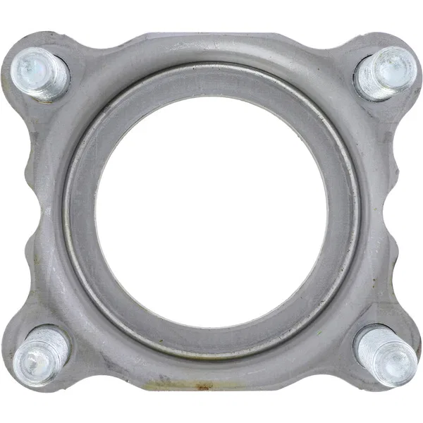 2004703 – DANA SPICER Axle Shaft Bearing Retainer, OE Replacement - view 3